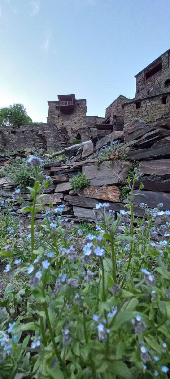 فندق "Front Castle" Shatili المظهر الخارجي الصورة