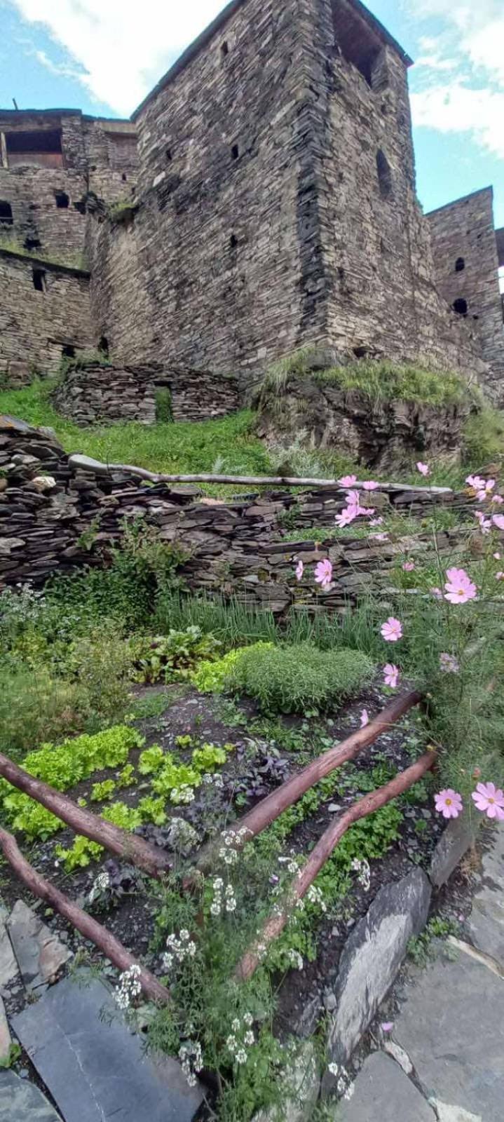 فندق "Front Castle" Shatili المظهر الخارجي الصورة