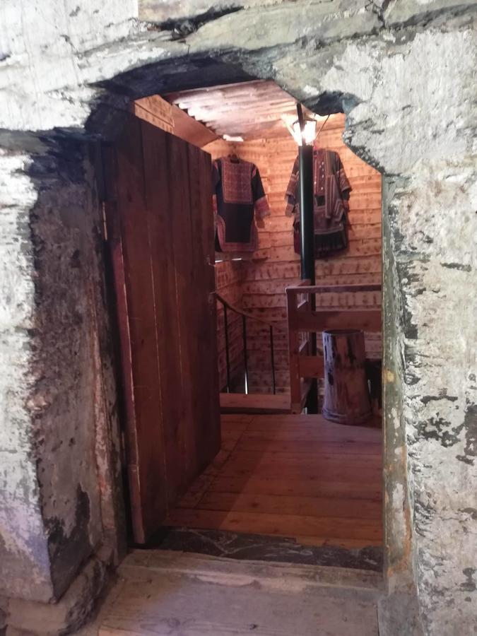 فندق "Front Castle" Shatili المظهر الخارجي الصورة